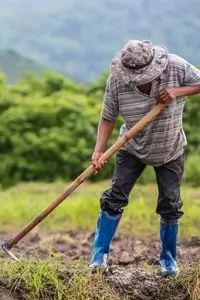 Tierras para los campesinos en Colombia: la lucha de César Jerez