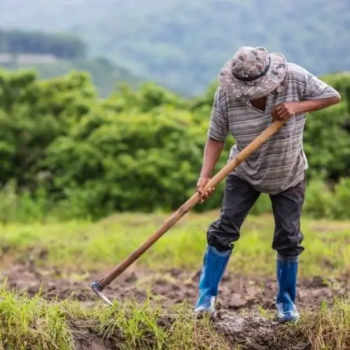 Tierras para los campesinos en Colombia: la lucha de César Jerez